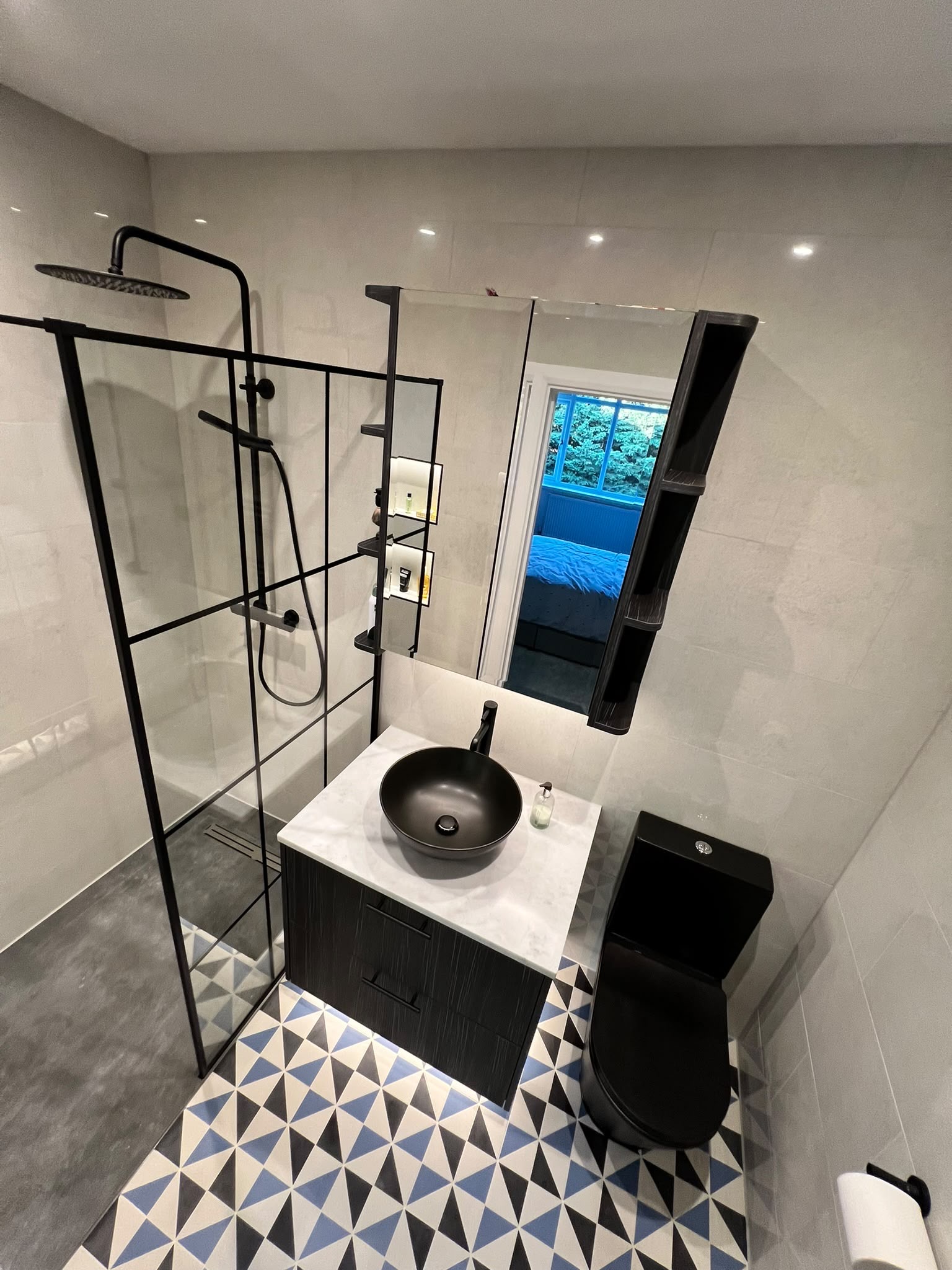 Bathroom monochrome crittall